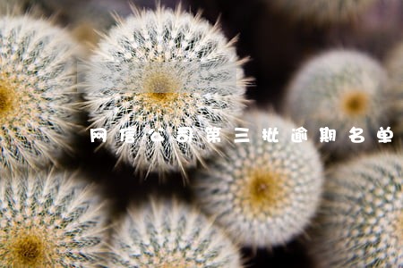 网信公司第三批逾期名单 网信公司第三批逾期名单