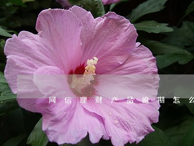 网信理财产品逾期怎么办 网信理财产品逾期怎么办
