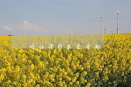 网信理财基金逾期 网信理财基金逾期