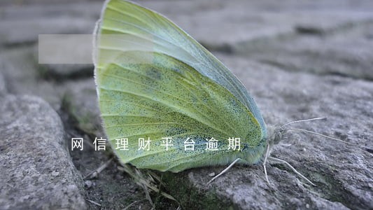 网信理财平台逾期 网信理财平台逾期