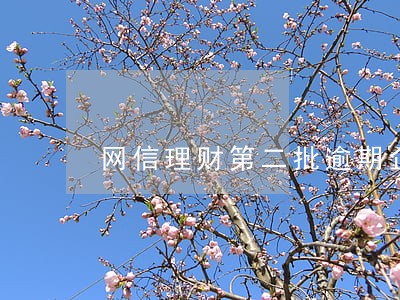 网信理财第二批逾期企业名单 网信理财第二批逾期企业名单