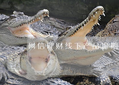 网信理财线下产品逾期不对付 网信理财线下产品逾期不对付