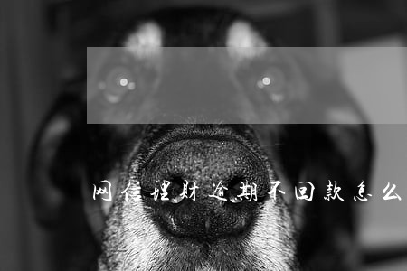 网信理财逾期不回款怎么办 网信理财逾期不回款怎么办