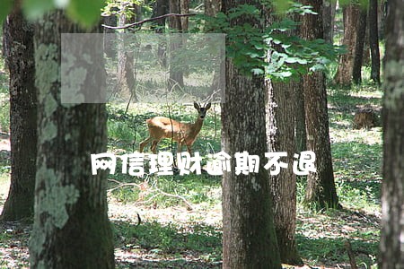网信理财逾期不退 网信理财逾期不退