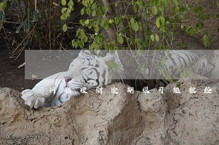 网信理财逾期很可能被经侦介入 网信理财逾期很可能被经侦介入