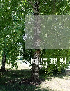 网信理财逾期怎么提款 网信理财逾期怎么提款