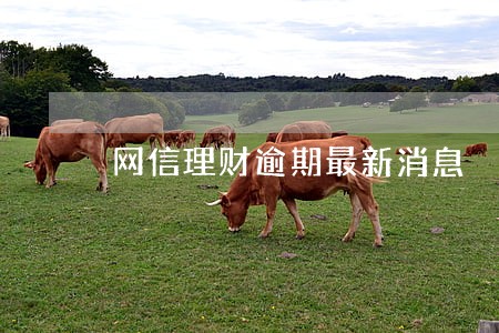 网信理财逾期最新消息 网信理财逾期最新消息
