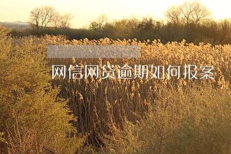 网信网贷逾期如何报案 网信网贷逾期如何报案