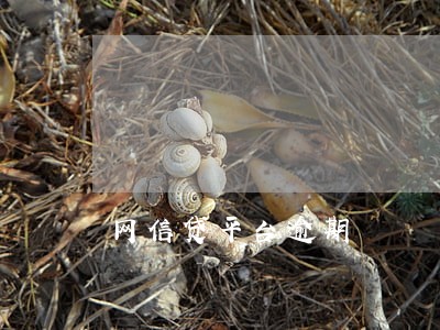 网信贷平台逾期
