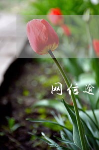 网信逾期企业运营状况 网信逾期企业运营状况
