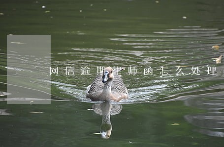 网信逾期律师函怎么处理 网信逾期律师函怎么处理