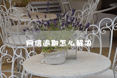 网信逾期怎么解决
