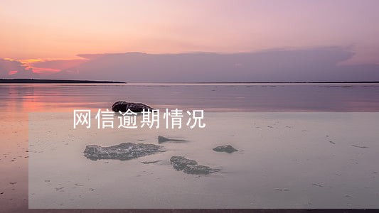 网信逾期情况 网信逾期情况