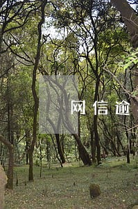 网信逾期新公告 网信逾期新公告