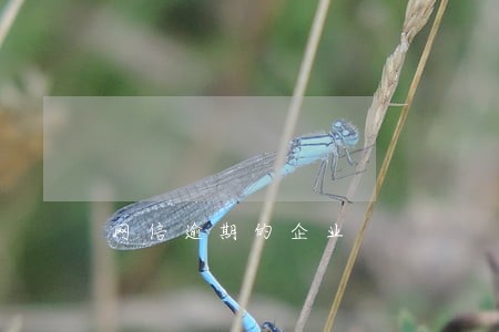 网信逾期的企业 网信逾期的企业