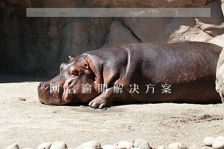 网信逾期解决方案 网信逾期解决方案