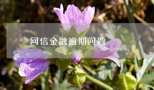 网信金融逾期问题 网信金融逾期问题