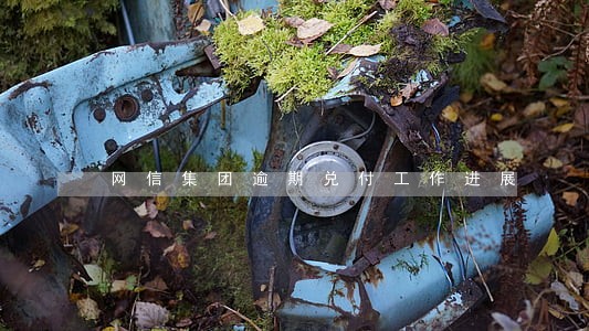 网信集团逾期兑付工作进展