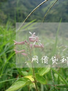 网借贷利息逾期了他回自己扣嘛