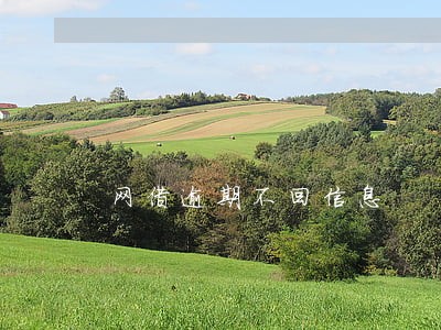 网借逾期不回信息