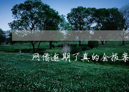 网借逾期了真的会报案吗