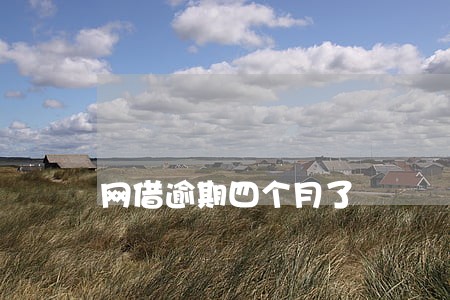 网借逾期四个月了