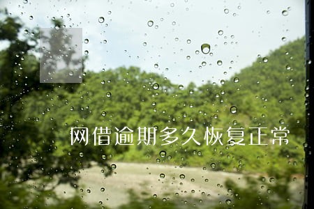 网借逾期多久恢复正常