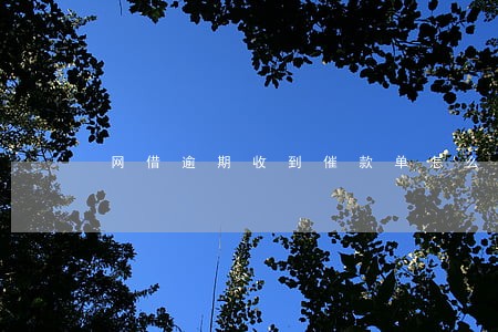 网借逾期收到催款单怎么办