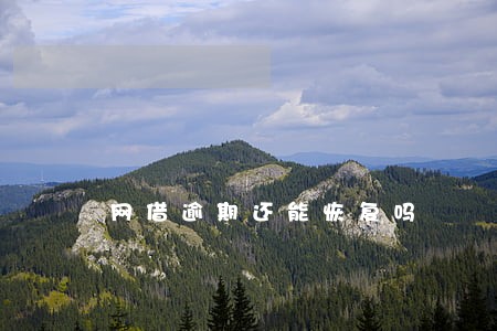 网借逾期还能恢复吗