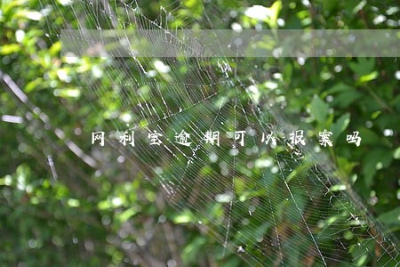 网利宝逾期可以报案吗
