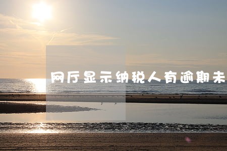 网厅显示纳税人有逾期未申报