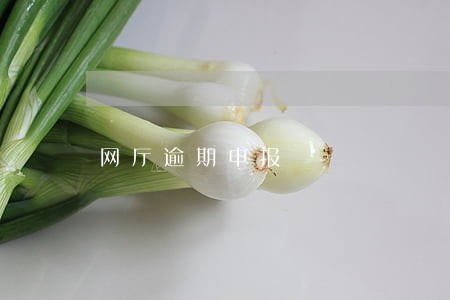 网厅逾期申报