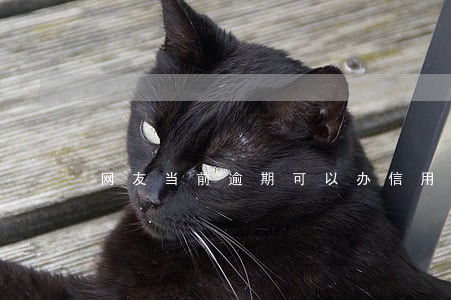 网友当前逾期可以办信用卡吗 网友当前逾期可以办信用卡吗
