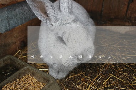 网发货逾期催收方法