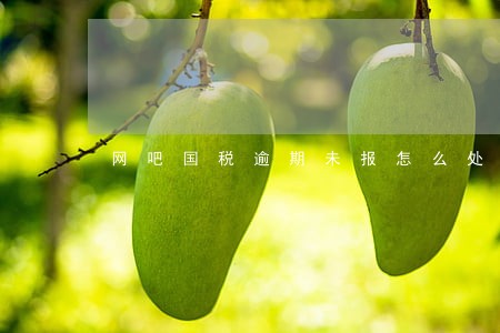 网吧国税逾期未报怎么处罚