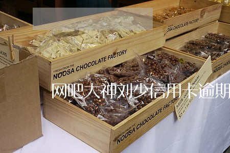 网吧大神刘少信用卡逾期