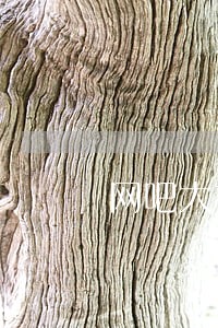 网吧大神百万信用卡逾期