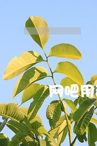 网吧用破解违法 网吧用破解违法