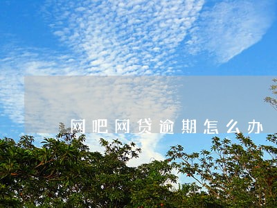 网吧网贷逾期怎么办 网吧网贷逾期怎么办