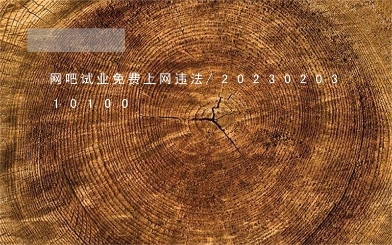 网吧试业免费上网违法/2023020310100 网吧试业免费上网违法/2023020310100