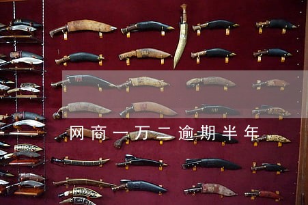 网商一万二逾期半年