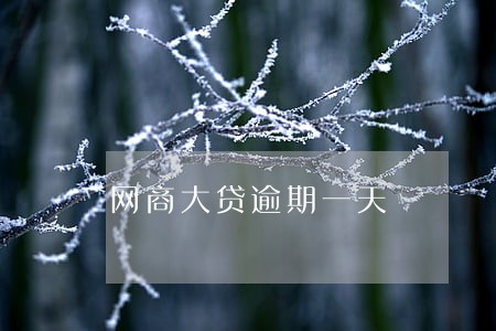 网商大贷逾期一天 网商大贷逾期一天