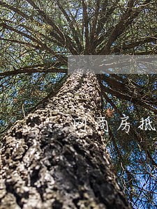 网商房抵贷逾期额度没有怎么办