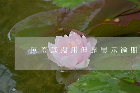 网商款没用但是显示逾期 网商款没用但是显示逾期