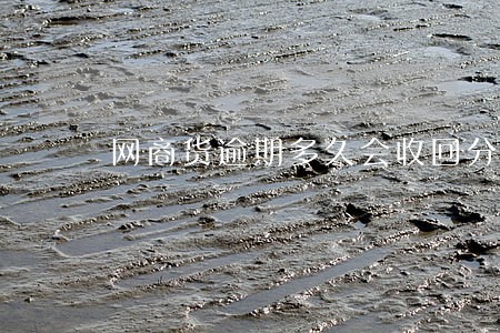 网商货逾期多久会收回分期 网商货逾期多久会收回分期