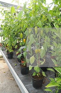 网商贷10万逾期半年 网商贷10万逾期半年