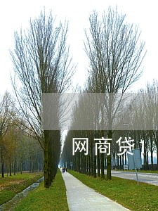 网商贷17万逾期 网商贷17万逾期