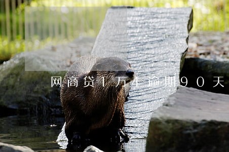 网商贷1万4逾期90天上门 网商贷1万4逾期90天上门