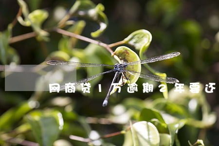 网商贷1万逾期2年要还2万多 网商贷1万逾期2年要还2万多