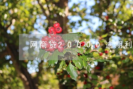 网商贷20000逾期利息多少 网商贷20000逾期利息多少